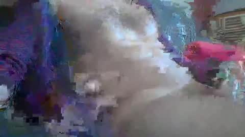 bonnieclyde90 online show from October 12, 10:58 am