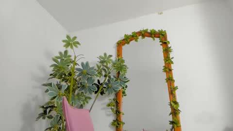   online show from February 25, 11:36 pm