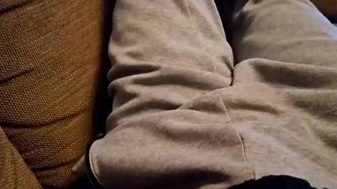 Snapshot of bonny8723 chatting on December 22, 7:42 pm bonny8723 online show from December 22, 7:42 pm