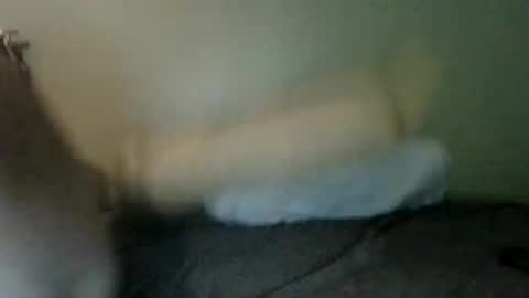booboobumbum1 online show from June 9, 7:14 pm