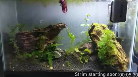 Booker Baxton online show from October 10, 3:05 am