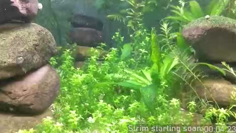 Booker Baxton online show from October 19, 3:07 am