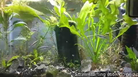 Booker Baxton online show from November 9, 4:00 am