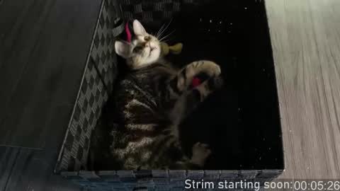 Booker Baxton online show from January 7, 4:04 am