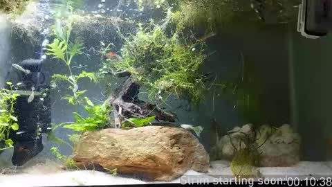 Booker Baxton online show from March 25, 3:01 am