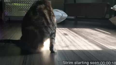 Booker Baxton online show from April 21, 3:02 am