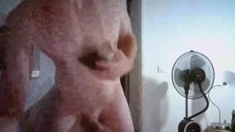 borderlanddu13 online show from October 26, 5:08 pm