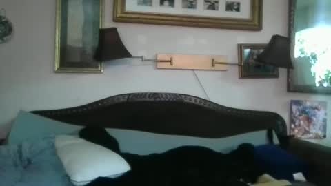 Snapshot of boredaf6678 chatting on December 16, 10:50 am boredaf6678 online show from December 16, 10:50 am