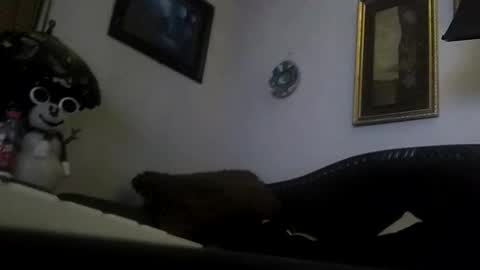 Snapshot of boredaf6678 chatting on December 23, 9:05 am boredaf6678 online show from December 23, 9:05 am