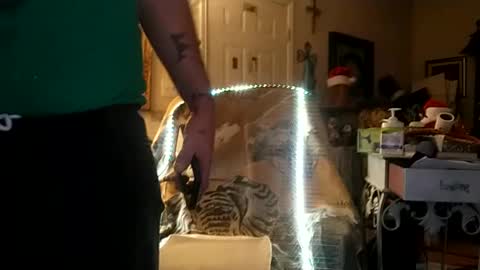 Snapshot of boredaf6678 chatting on December 25, 9:34 am boredaf6678 online show from December 25, 9:34 am