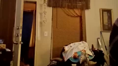 Snapshot of boredaf6678 chatting on November 22, 11:59 pm boredaf6678 online show from November 22, 11:59 pm