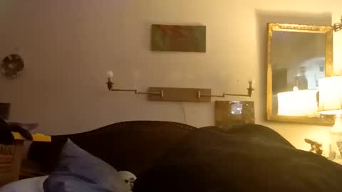 Snapshot of boredaf6678 chatting on December 16, 1:10 am boredaf6678 online show from December 16, 1:10 am