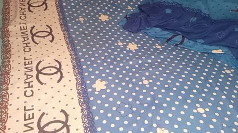 bossetassy online show from April 9, 4:01 pm