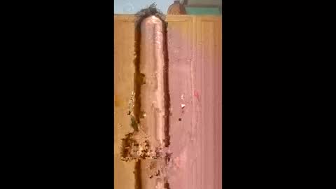 bossusaround online show from February 9, 5:50 pm