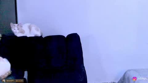 Snapshot of boylatin_777 chatting on November 24, 3:06 am miguel online show from November 24, 3:06 am