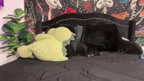 Snapshot of boysdroollx chatting on September 22, 12:01 am Puddin online show from September 22, 12:01 am