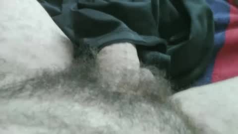 bpllpd online show from January 16, 3:49 pm