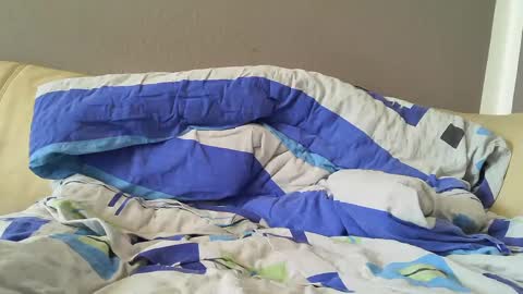 Snapshot of bramer8787 chatting on February 1, 9:00 am bramer8787 online show from February 1, 9:00 am