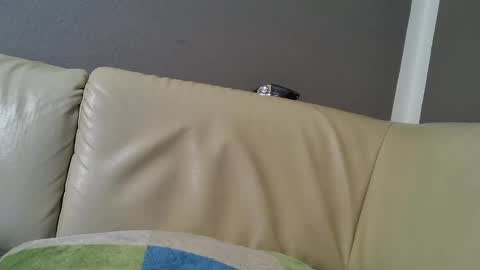 Snapshot of bramer8787 chatting on February 9, 5:29 am bramer8787 online show from February 9, 5:29 am