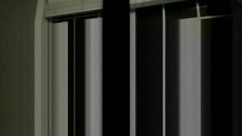 brandon255225 online show from February 14, 2:08 am