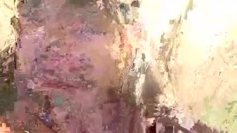 Brandon online show from January 14, 11:53 am