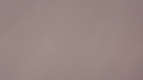 Snapshot of brandy_collinss chatting on January 17, 7:24 am Brandy online show from January 17, 7:24 am