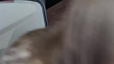 Brandy Gem online show from February 10, 7:23 am