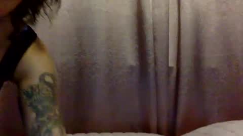 Snapshot of brasilierabrat chatting on June 11, 2:33 am brasilierabrat online show from June 11, 2:33 am