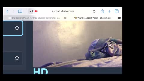 MANTE online show from November 20, 2:34 am