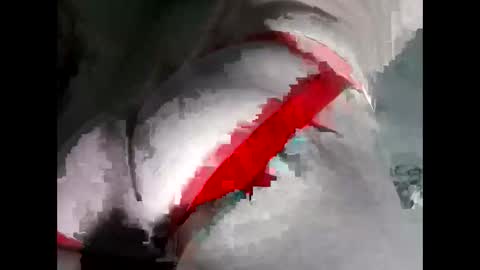 Snapshot of breezyy8 chatting on November 19, 6:02 am Anal-Prince online show from November 19, 6:02 am