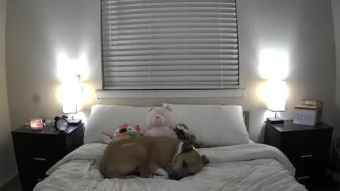 Snapshot of bridgetblack666 chatting on June 20, 1:41 am Bridget Black online show from June 20, 1:41 am