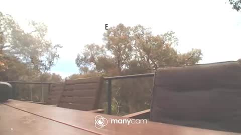 Fun Monster online show from October 16, 2:01 am