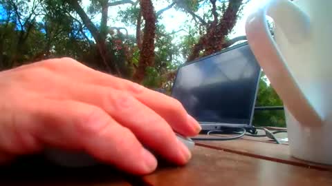 Fun Monster online show from February 19, 1:01 am