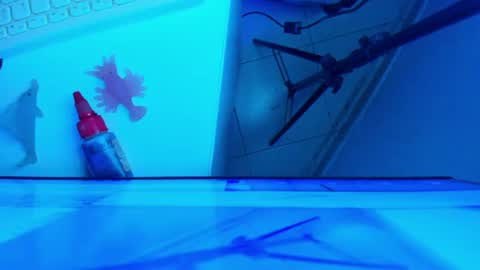 Snapshot of britanny_jones1 chatting on July 16, 1:06 pm B R I T A N N Y online show from July 16, 1:06 pm