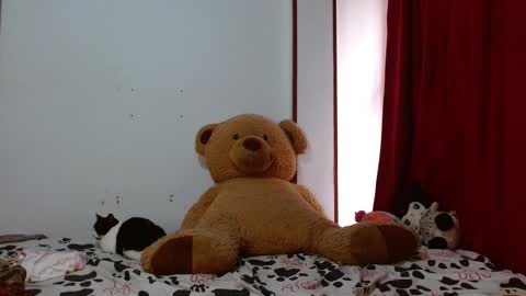 Snapshot of brittany_bubbles chatting on November 12, 3:01 pm maru miaw Please help me to reach 100 thumbs up online show from November 12, 3:01 pm