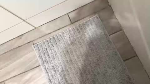 Snapshot of brownboyli chatting on March 2, 3:09 am brownboyli online show from March 2, 3:09 am