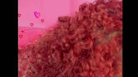 Lady  online show from February 15, 7:39 pm