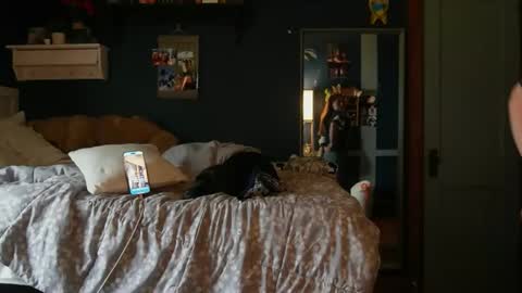 brunettebaby040 online show from October 24, 4:47 pm