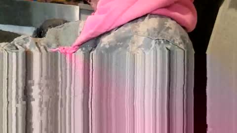 Steve... aka SkinnieDippin aka TimberTramp online show from March 11, 8:59 pm