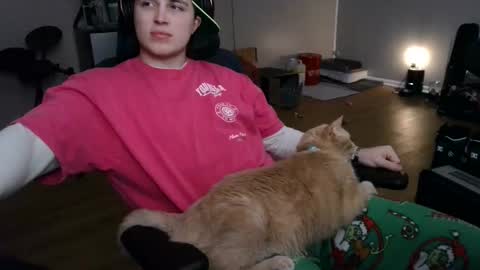 BubblebuttBdn online show from February 4, 5:13 am