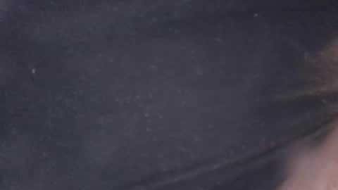 buddyluvzumore online show from October 19, 4:35 am