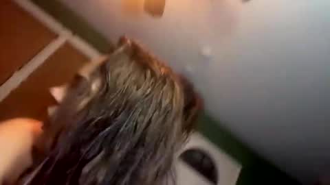 Yourtrippyhippy online show from November 28, 12:57 am