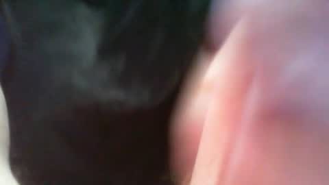 bullemoe online show from March 8, 7:05 am