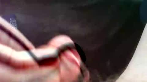 bullemoe online show from September 16, 2:51 pm