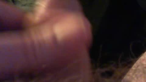 bullemoe online show from December 15, 9:52 pm