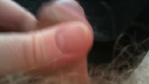 bullemoe online show from February 2, 9:52 am