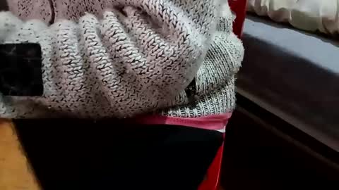 bullspain27266272 online show from February 5, 10:22 pm