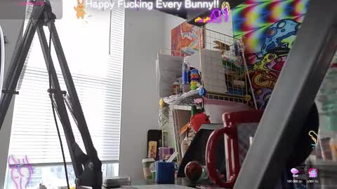 Tokki  bunny  online show from January 16, 7:20 pm