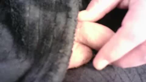 Hamish online show from March 16, 7:29 pm