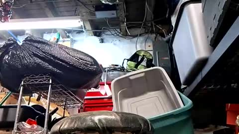 bushdoctor1 online show from September 10, 9:53 am